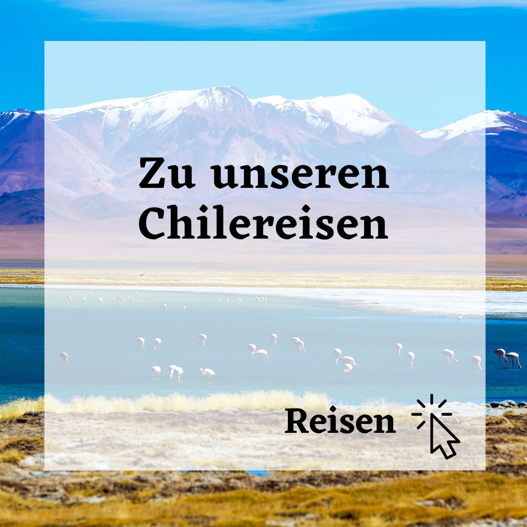 Chilereisen