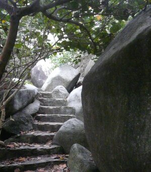 Weg zur Ciudad Perdida