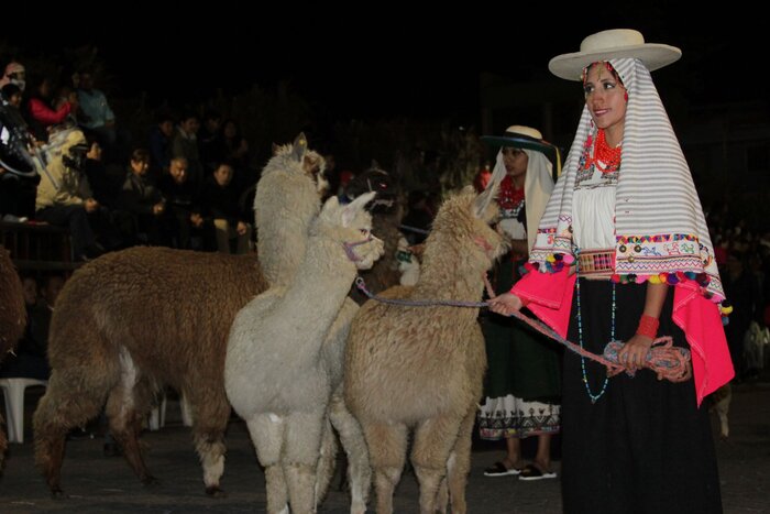 Yamor Festival, Frau mit Alpacas (© Ministerio de Turismo del Ecuador)